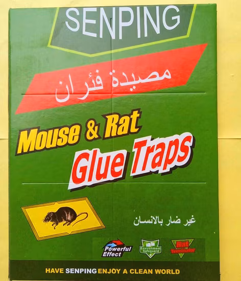 Mouse Rat Trap Book Cockroach Fly Mosquito Control Sticky Paper Insect Glue Trap